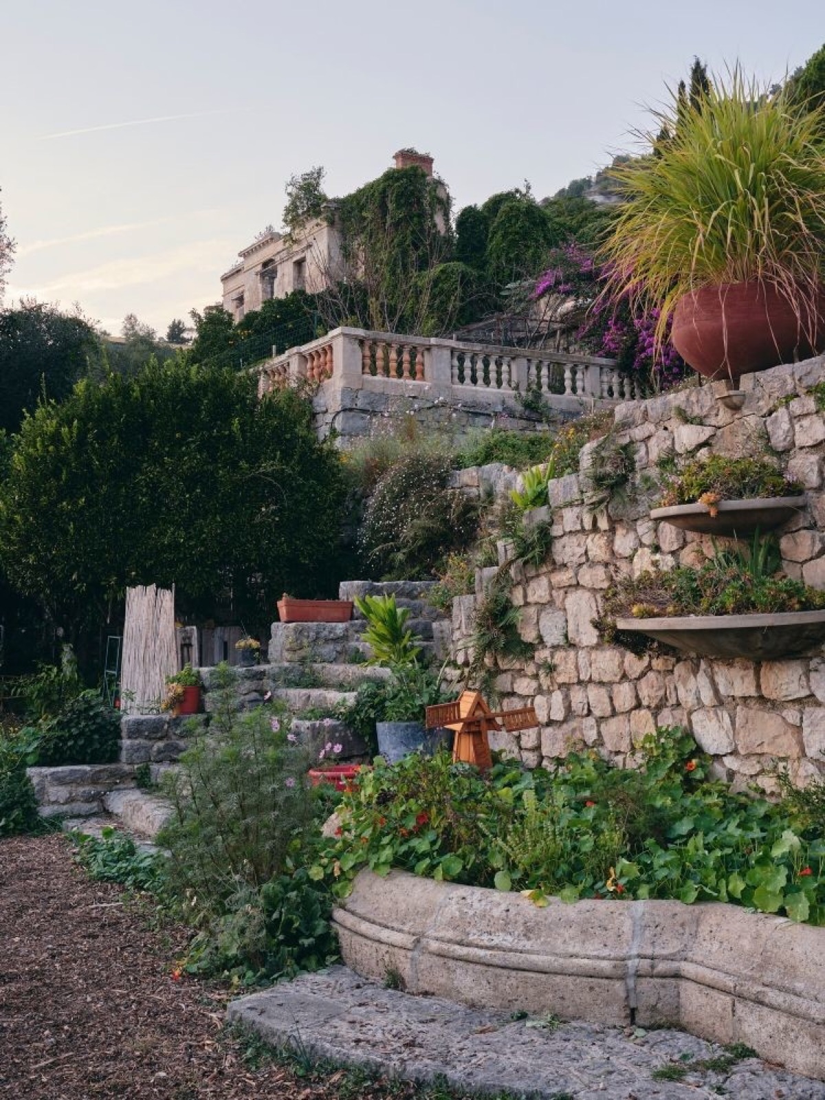 Jardin en terrasses de Castillon au crépuscule : escaliers de pierre sèche, balustre ancien envahi de plantes grimpantes, vasque ocre et plantations de saison