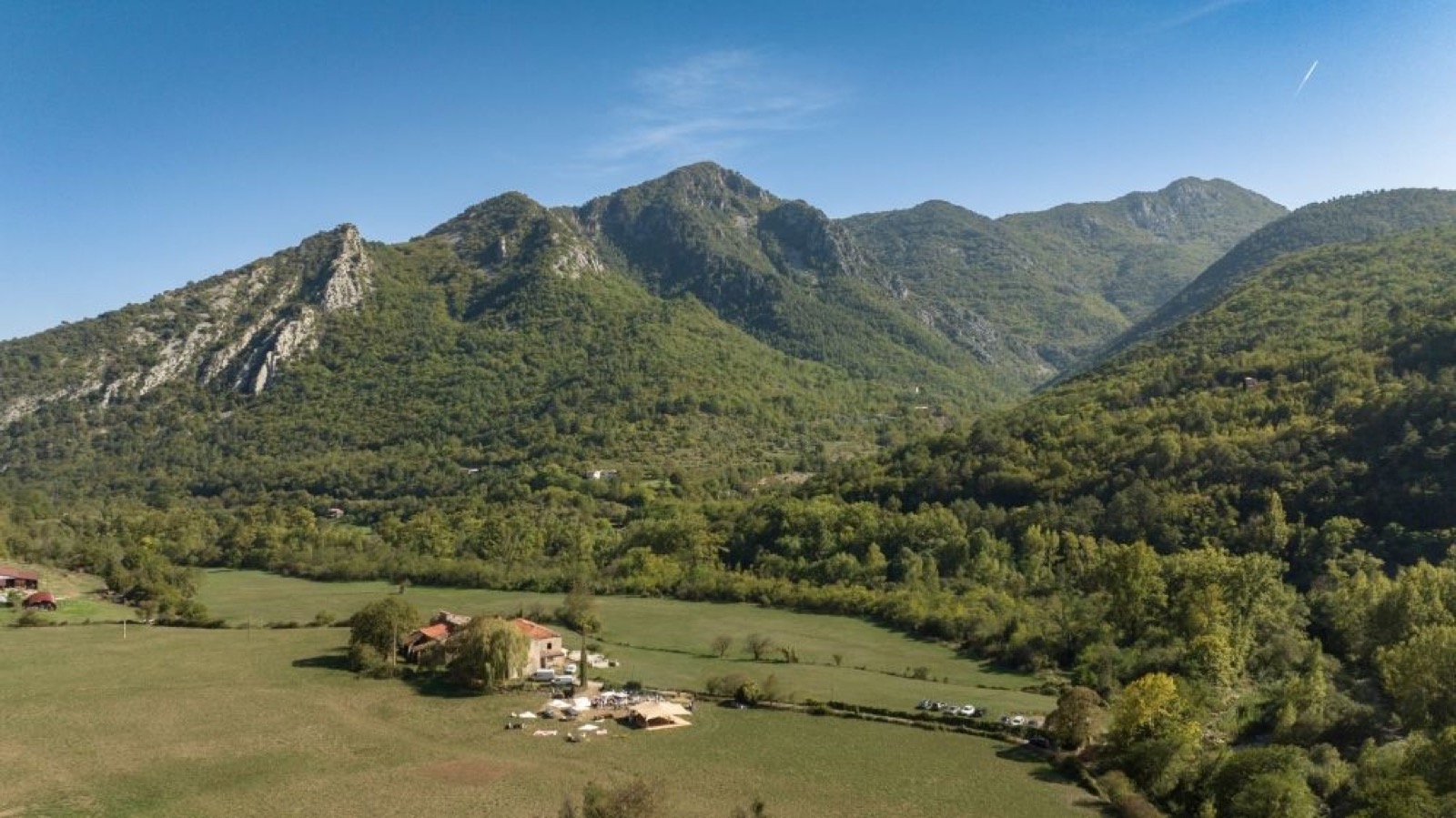 Cosmos sauvages jaunes et roses au premier plan, vallée verte de Sospel en arrière-plan, lumière contre-jour